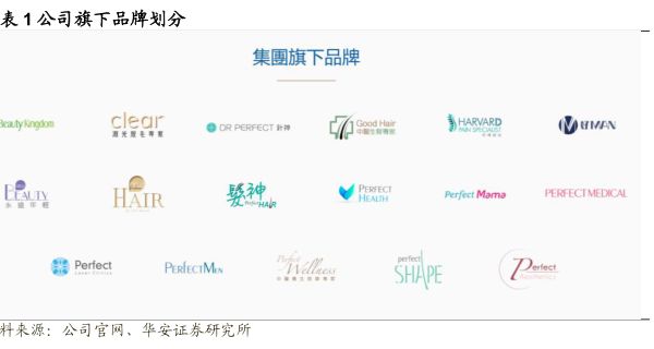 公司旗下品牌劃分 - 2023年11月 - 行業(yè)研究數(shù)據(jù)
