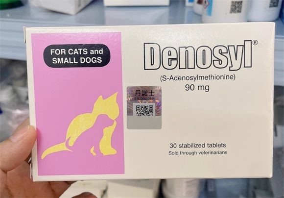 丹诺仕宠物护肝片：守护毛孩子的肝脏健康