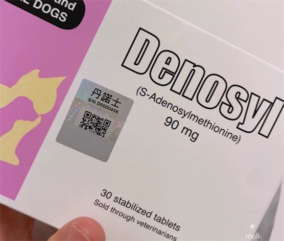 丹诺仕宠物护肝片：守护毛孩子的肝脏健康