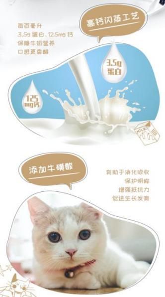圖片4.jpg