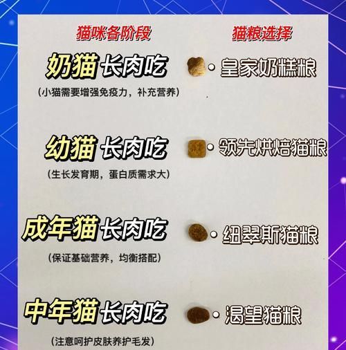 谷物糧和肉糧哪種更適合貓？如何選擇適合貓的貓糧？