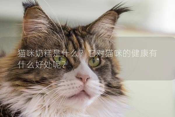 貓咪奶糕是什么？它對貓咪的健康有什么好處呢？