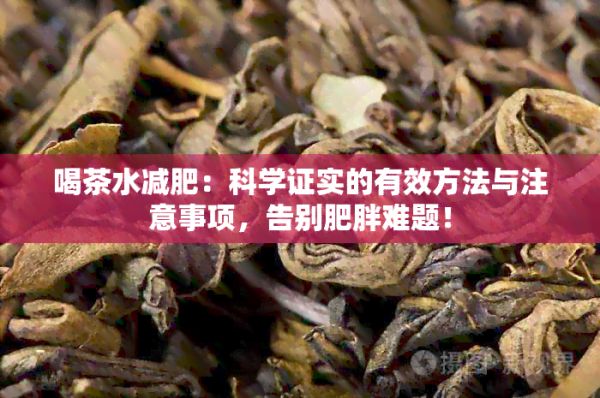 喝茶水減肥：科學(xué)證實的有效方法與注意事項，告別肥胖難題！