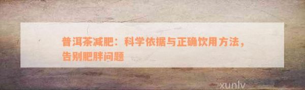 普洱茶减肥：科学依据与正确饮用方法，告别肥胖问题