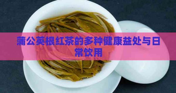 蒲公英根红茶的多种健康益处与日常饮用