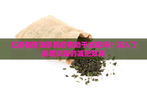 红茶和普洱茶真的有助于减肥吗？深入了解普洱茶的减肥效果