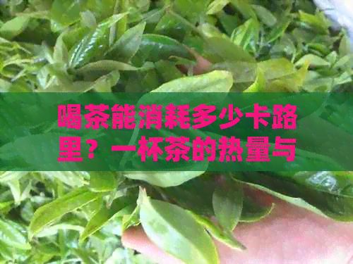 喝茶能消耗多少卡路里？一杯茶的热量与功效全方位解读