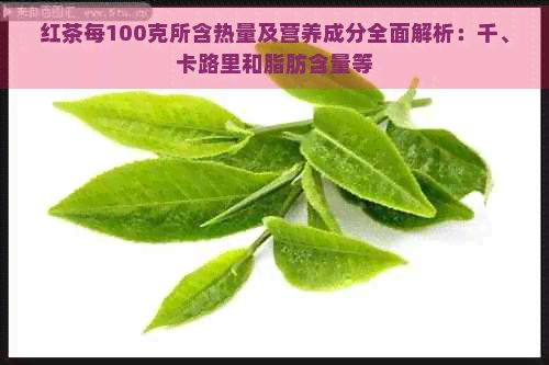 红茶每100克所含热量及营养成分全面解析：千、卡路里和脂肪含量等