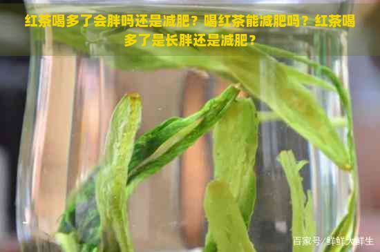 红茶喝多了会胖吗还是减肥？喝红茶能减肥吗？红茶喝多了是长胖还是减肥？