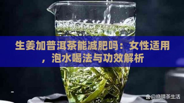 生姜加普洱茶能減肥嗎：女性適用，泡水喝法與功效解析