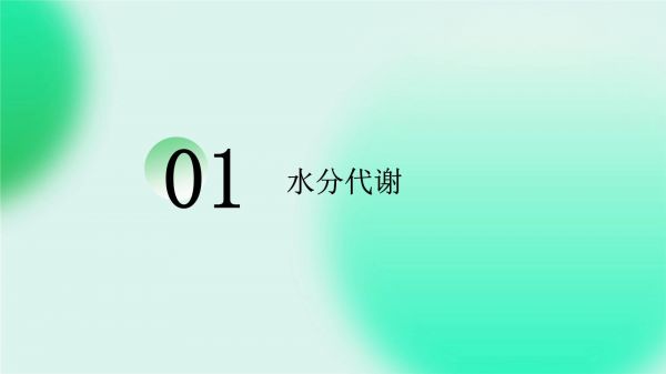 复习水分代谢和矿质营养浙教版人教版课件_第3页