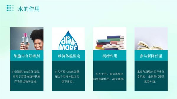 复习水分代谢和矿质营养浙教版人教版课件_第4页