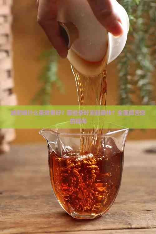 減肥喝什么茶效果好？哪些茶葉消脂最快？全面解答您的疑問