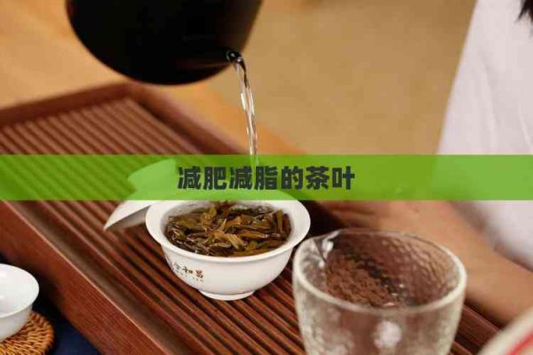 減肥減脂的茶葉