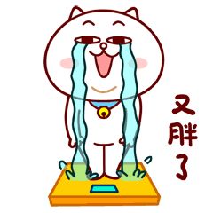 慕容嗷嗷：用一只猫的哲学 提高健康意识