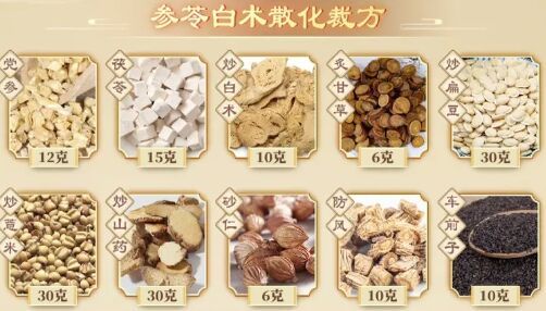 参苓白术散化栽方