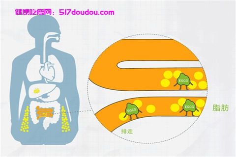 巴沙减肥果