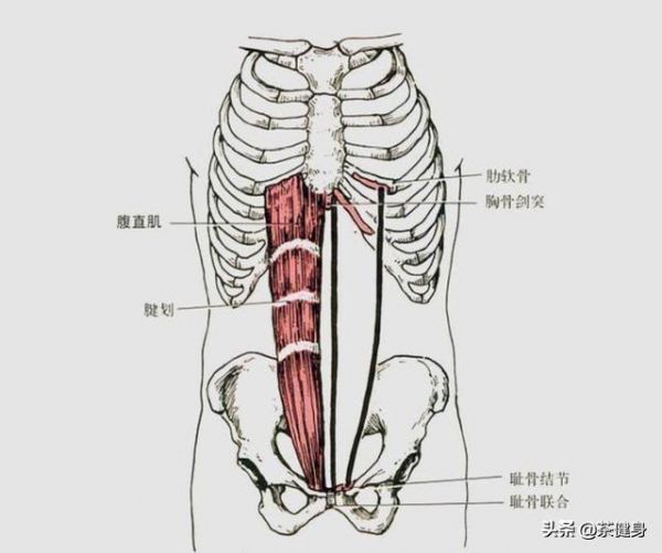 5個(gè)最好的修復(fù)腹直肌分離的訓(xùn)練動(dòng)作，幫你快速恢復(fù)產(chǎn)后健康核心