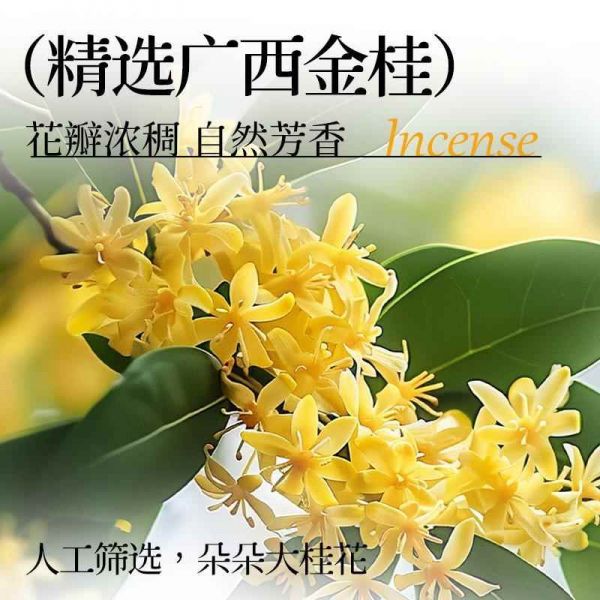 【9xhd.com蜂蜜33】蜂蜜國產(chǎn)品牌前十名有哪些:新貨桂花醬正宗桂花蜜醬桂花蜜釀漿家用冰粉蜂蜜釀烘焙食用缽仔糕3892
