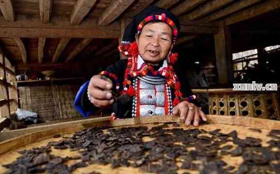 德昂族文化中的普洱茶：一種傳統(tǒng)與現(xiàn)代的交融