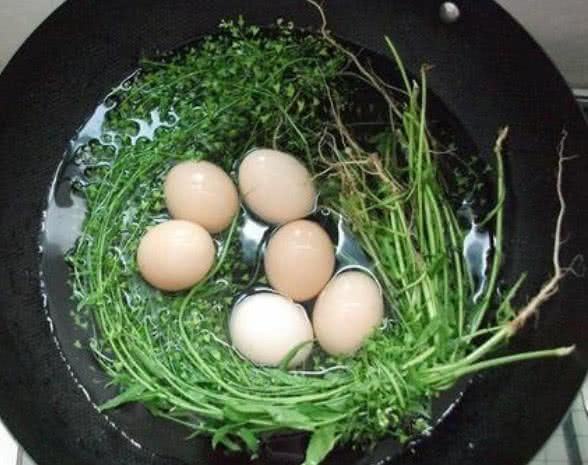 雞蛋和此物一起煮，常食幫助排出毒素，雙眼明亮，視力越來越好