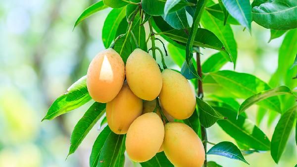 氣溫驟降怎么吃才保暖 多吃五種食物御寒保暖