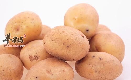 冬季養(yǎng)生該吃什么對(duì)身體健康好