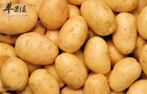 冬季養(yǎng)生該吃什么對(duì)身體健康好