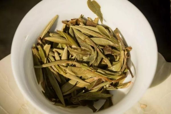 白茶的四大危害，白茶副作用太大了