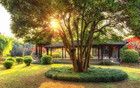 一個(gè)人最大的愚蠢，就是輕易公開(kāi)這四件事！