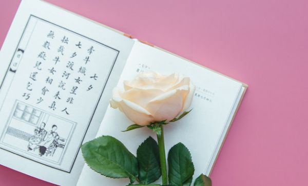 女性健康主持词