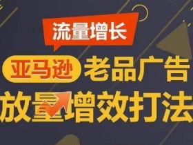 亞馬遜成人用品行業(yè)有哪些爆款，成功產(chǎn)品的案例與運(yùn)營分享