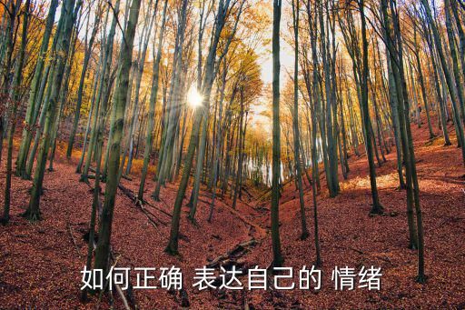 如何正確 表達自己的 情緒