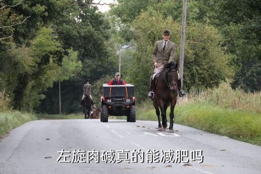 左旋肉堿真的能減肥嗎