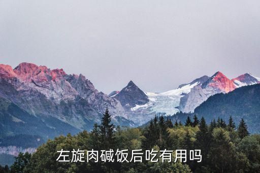 左旋肉堿飯后吃有用嗎