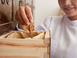 2025年運動神經(jīng)元損傷治療:新技術與綜合療法引領新突破