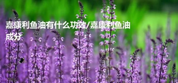 嘉康利魚油有什么功效/嘉康利魚油成分