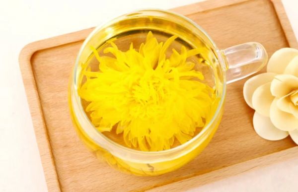 金絲皇菊搭配檸檬蜂蜜沖泡圖
