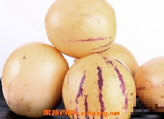 人參果總皂苷是什么 人參果總皂苷的功效與副作用