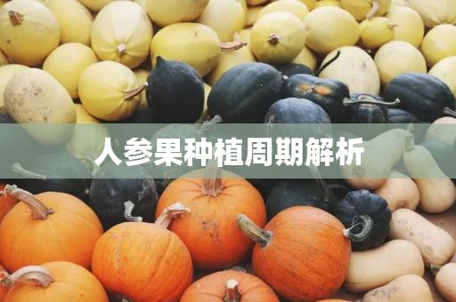 人參果種植周期解析