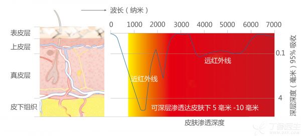 皮膚滲透中文近和遠(yuǎn)大字.jpg