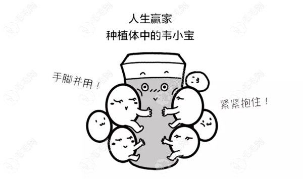 瑞士iti悅鋯種植體優(yōu)點(diǎn)