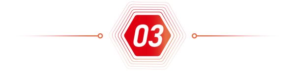 16891658045232496