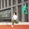 五百只鴨子
