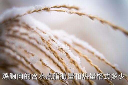 雞胸肉的含水點(diǎn)脂肪量和熱量格式多少