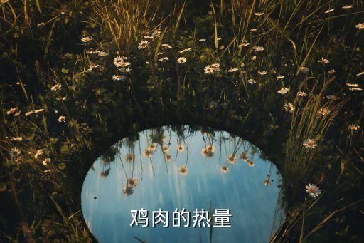 雞肉的熱量