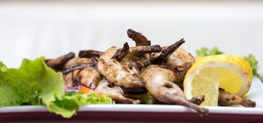 減脂餐雞胸肉熱量表及營養(yǎng)價值解析