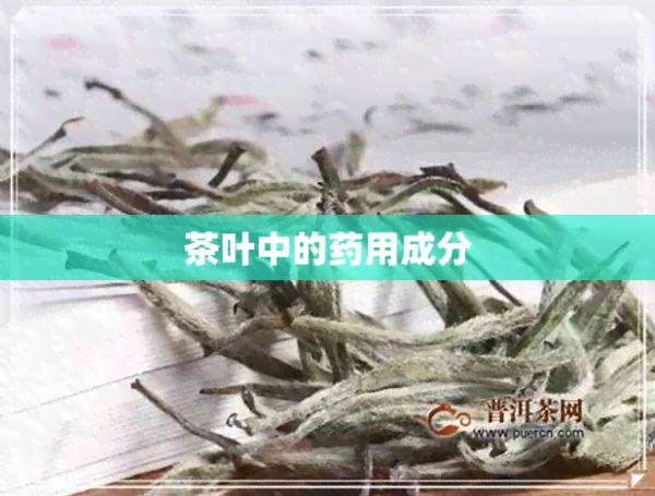 茶叶中的药用成分