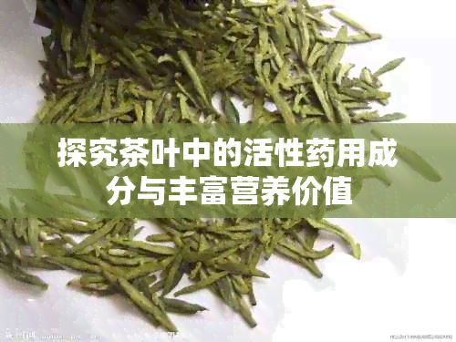 探究茶叶中的活性药用成分与丰富营养价值