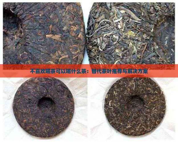 不喜欢喝茶可以喝什么茶：替代茶叶推荐与解决方案